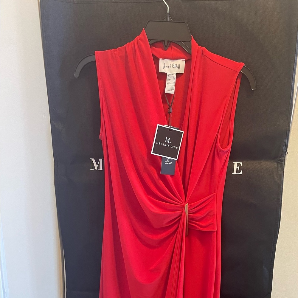 Red Draped Dress